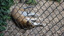 DSC03966.JPG