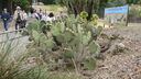 DSC03971.JPG