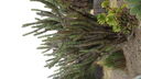 DSC03972.JPG