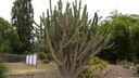 DSC03973.JPG