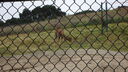 DSC03977.JPG