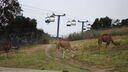 DSC03981.JPG