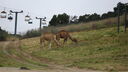 DSC03982.JPG