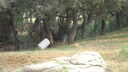 DSC03983.JPG