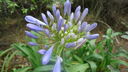 DSC03985.JPG