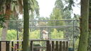 DSC03986.JPG