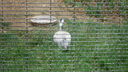 DSC03988.JPG