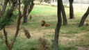 DSC03990.JPG