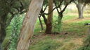 DSC03991.JPG