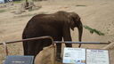 DSC03994.JPG