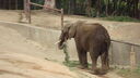 DSC03996.JPG