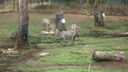 DSC03997.JPG