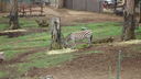 DSC03998.JPG