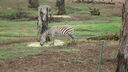 DSC04000.JPG