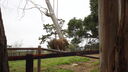 DSC04001.JPG