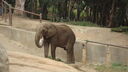 DSC04002.JPG