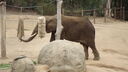 DSC04005.JPG