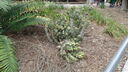 DSC04008.JPG