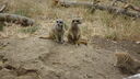 DSC04015.JPG
