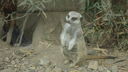 DSC04016.JPG