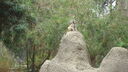 Filename=DSC04020.JPG
Filesize=380KiB
Dimensions=1080x608
Date added=Mar 26, 2024 DSC04020.JPG