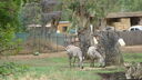DSC04038.JPG