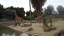 Filename=DSC04043.JPG
Filesize=324KiB
Dimensions=1080x608
Date added=Mar 26, 2024 DSC04043.JPG