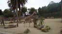 Filename=DSC04044.JPG
Filesize=328KiB
Dimensions=1080x608
Date added=Mar 26, 2024 DSC04044.JPG