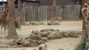 DSC04046.JPG