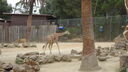 DSC04048.JPG