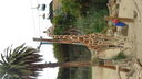 DSC04049.JPG