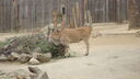 Filename=DSC04050.JPG
Filesize=296KiB
Dimensions=1080x608
Date added=Mar 26, 2024 DSC04050.JPG
