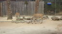 Filename=DSC04051.JPG
Filesize=319KiB
Dimensions=1080x608
Date added=Mar 26, 2024 DSC04051.JPG