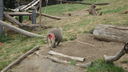 DSC04056.JPG