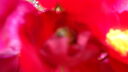 DSC04067.JPG