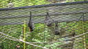 DSC04068.JPG