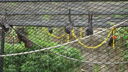 DSC04069.JPG