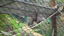 DSC04073.JPG