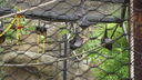 DSC04074.JPG