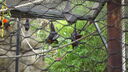 DSC04075.JPG
