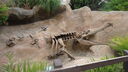 DSC04079.JPG