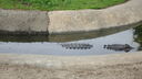 DSC04080.JPG