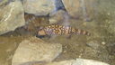 DSC04082.JPG