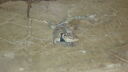 DSC04084.JPG