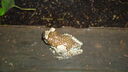 DSC04085.JPG
