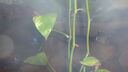 DSC04087.JPG
