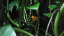 DSC04089.JPG