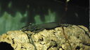 DSC04090.JPG