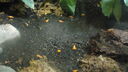 DSC04091.JPG