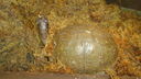 DSC04092.JPG